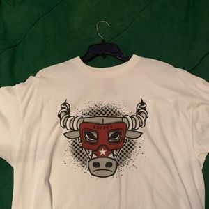 Air Jordan Retro 6 “maroon” bull T-shirt